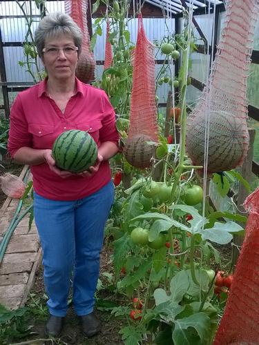 6. ����������� � ��������� 