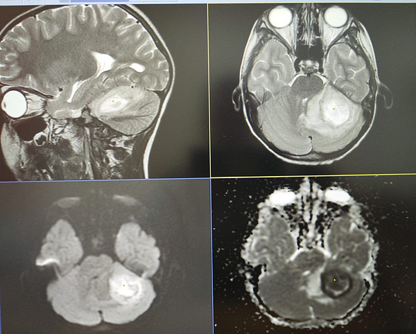 IMG_20240806_161312. 