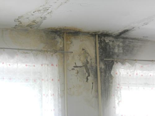 10. � ����������� ������� ��� �� �������.