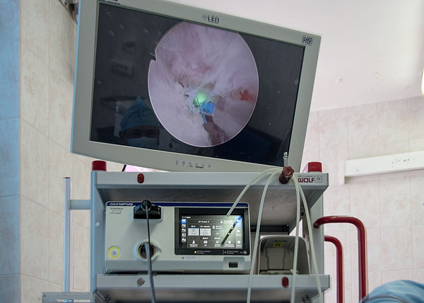 photo_1_2024-03-21_10-40-49. 