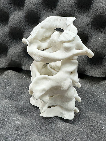 photo_2026-01-15_12-24-39. 