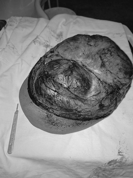 photo_2025-09-22_09-44-01. 