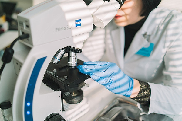 IMG_20241108_103018_720. 