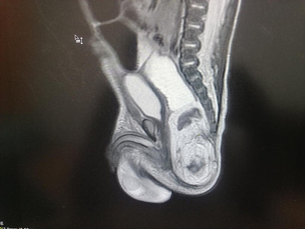 IMG-20221223-WA0030. 