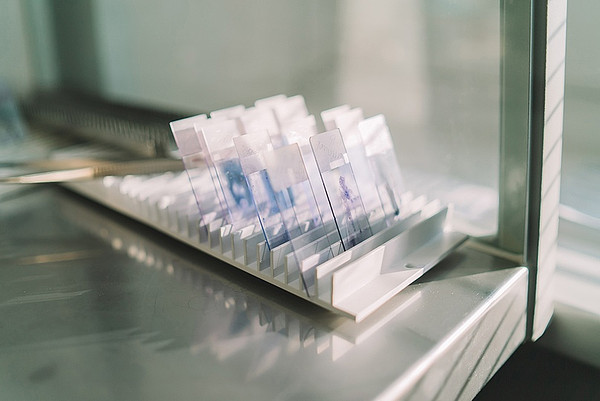 IMG_20241108_103019_104. 