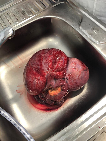 IMG-20201125-WA0015. 