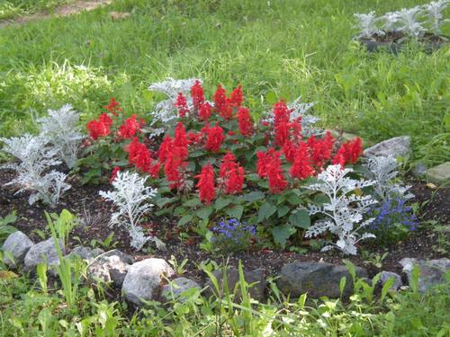 008. ������� ��������� ���.