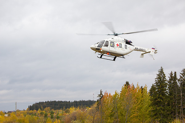 ����������_01. 