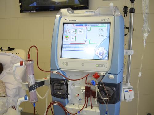 DSC_0015. ������� 